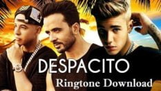 Despacito Ringtone Download - Male, Female And Instrumental Ringtones
