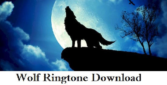 Wolf Howling Ringtone Download - Mp3 Free Mobile Ringtones