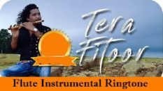 Tera Fitoor Flute And Instrumental Ringtone Download - Free Tones